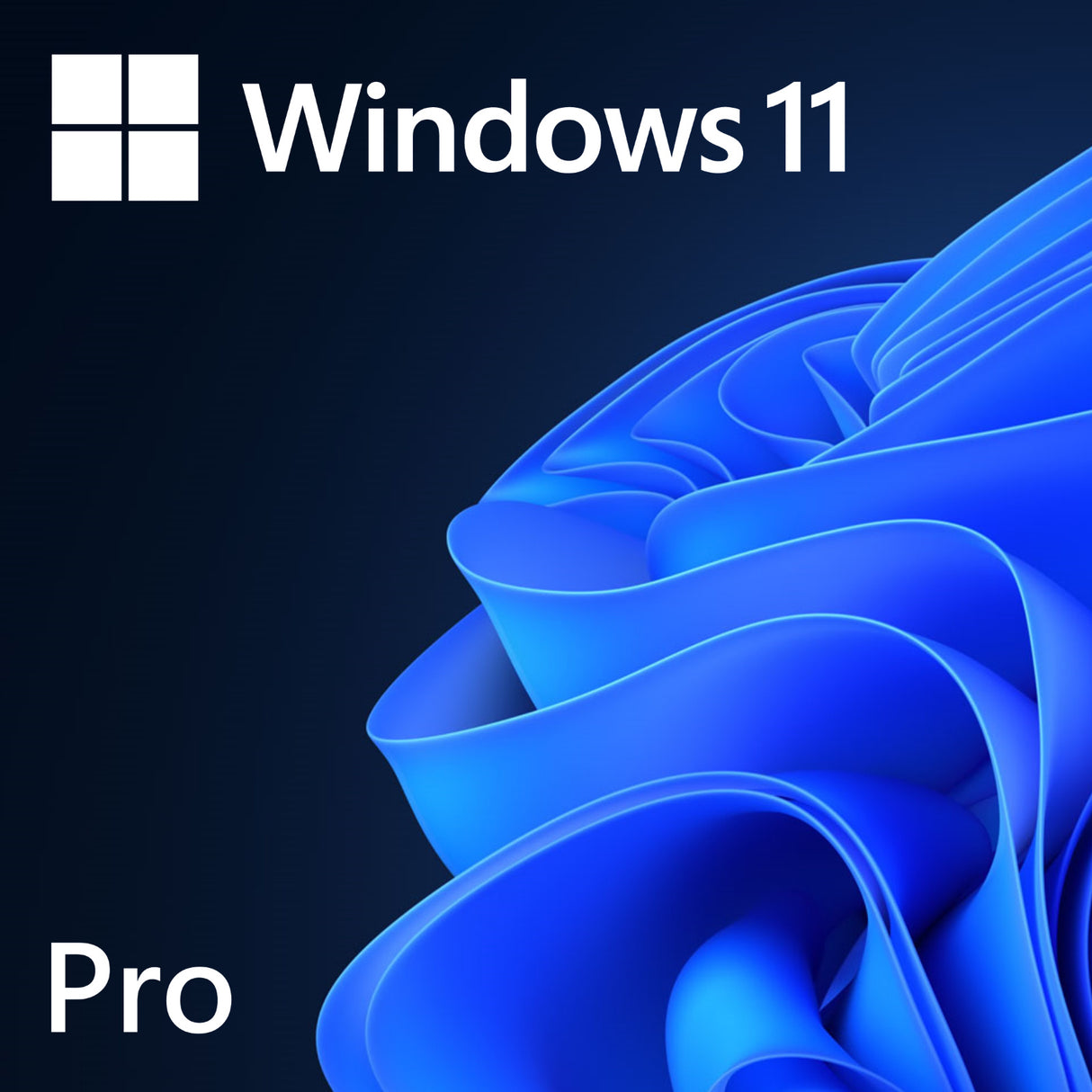 Windows 11 - Pro