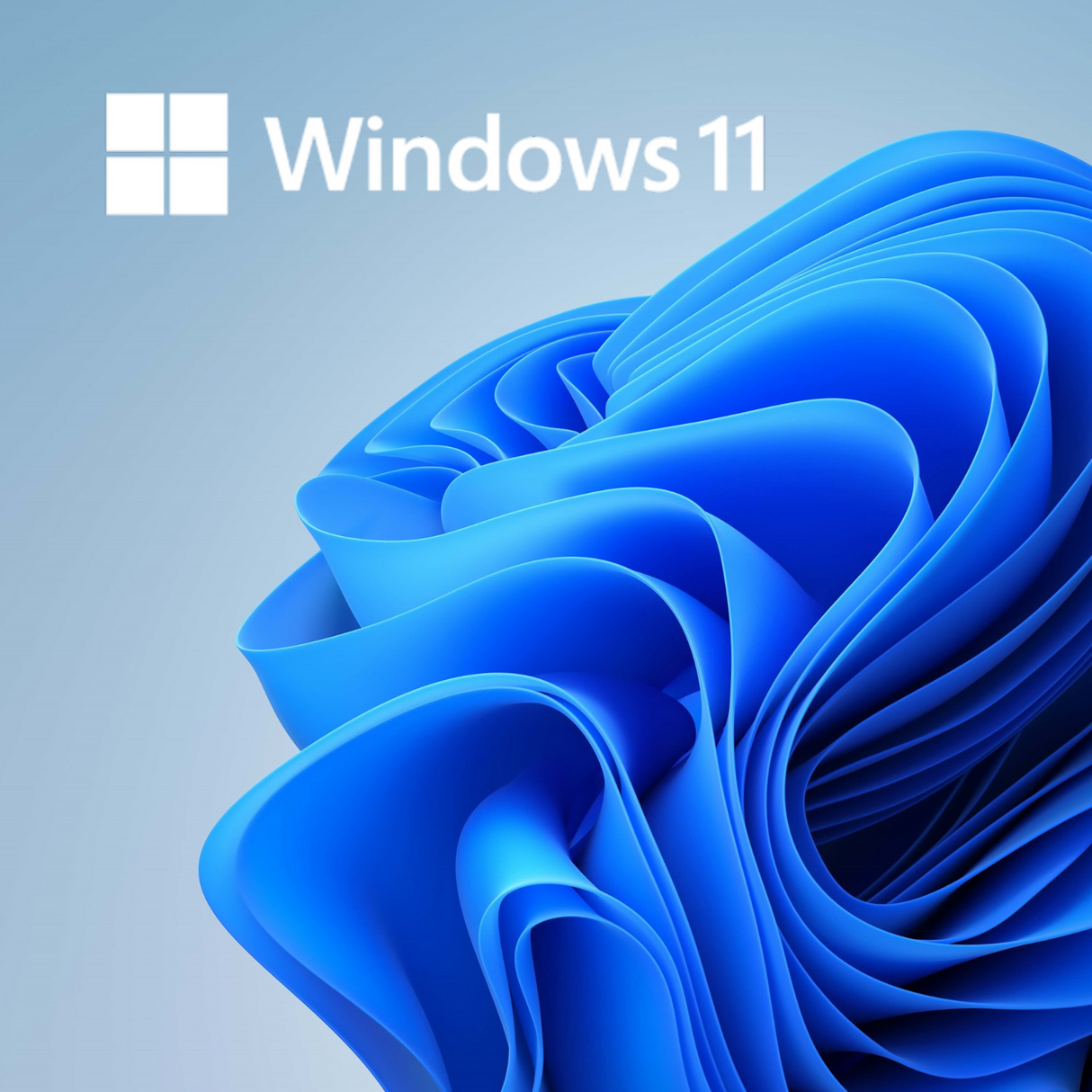 Windows 11